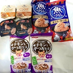 10【定価約2500円相当】猫用ウェットフードセット
