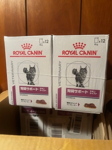 ロイヤルカナン 猫用 早期腎臓サポート パウチ(85g×24袋入) 4箱