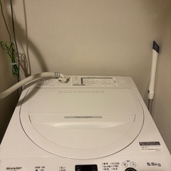 SHARP 5.5kg洗濯機　の画像
