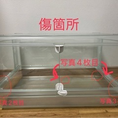 ＧＥＸ　グラスハーモニー　６００Ｎ　ハムスターケージ　