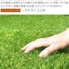 人工芝 55cm×190cmの画像