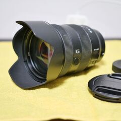 SONY FE 24-105mm F4 G OSS SEL24105Gの画像
