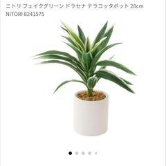 フェイクグリーンの画像
