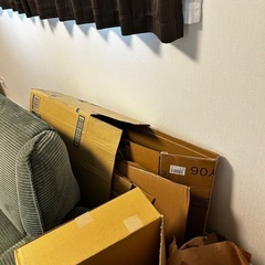 ダンボール