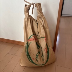 ②【久万高原産】令和4年産　あきたこまち　約11.6kg
