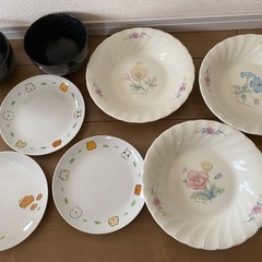 お皿10枚