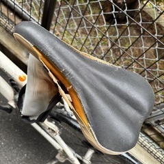 LOUIS GARNEAU ルイガノ　クロスバイクの画像