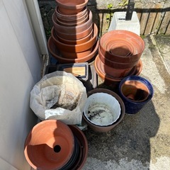 植木鉢🪴の画像