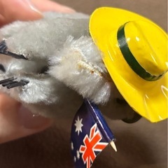 置物　コアラ　オーストラリアで購入の画像