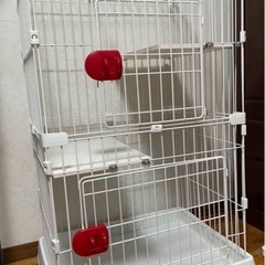 キャットゲージの画像