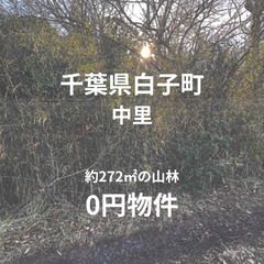 【千葉県白子町】272㎡の山林、お譲りします。S-24-00173_1
