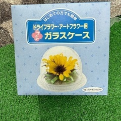 ガラスケース　ガラスドーム