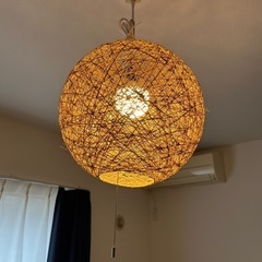 ネスト型照明