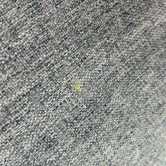 ‪☆ジモティー割引有‪☆ 背中にﾌｨｯﾄするあぐら座椅子/QZX-ｱﾗﾝの画像