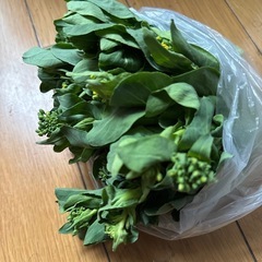 野菜　菜の花　太め　パスタ　おひたし