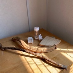 小鳥用 止まり木ほか
