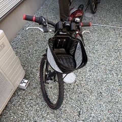 子供】ブリヂストンブリジストン自転車エクスプレスジュニア22