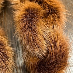 リアルファーのマフラーの画像