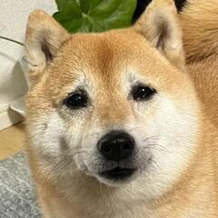 友達募集☀