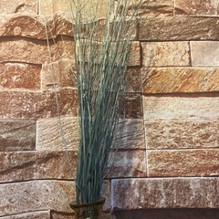 チチカカ　枝のオブジェ　花瓶付き