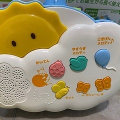プーメリー(お譲り先決まりました)の画像