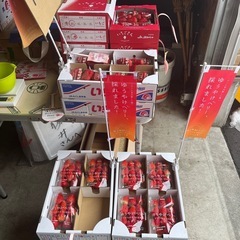 美味しい🍓ゆうやけベリー　その他在庫変わりましたのでお知らせします😊