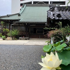 やさしい巡りヨガ〜豊田駅前　挙母支院〜の画像