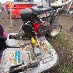 ウィングモアーの画像