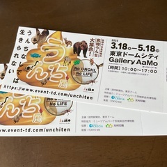うんち展 ◆ 東京ドームシティ ◆ ２枚セットです！