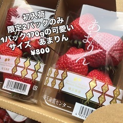 【残5】今回のみ限定2パックのみ🍓170g可愛いサイズの🍓あまりん