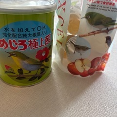 鳥の餌

