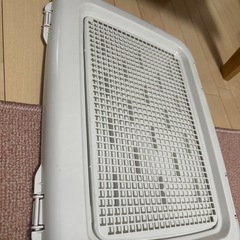 3/25まで【新品】ペットトイレの画像