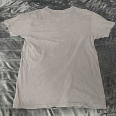 アルパインスターズ Tシャツの画像