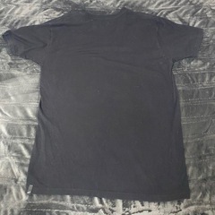 アルパインスターズ Tシャツの画像