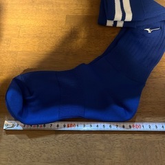 サッカー　ソックス 脛当ての画像