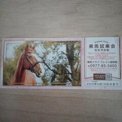 乗馬試乗会