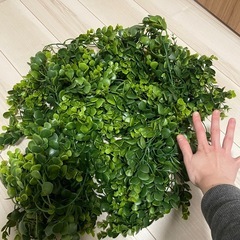 大量＊造草の画像