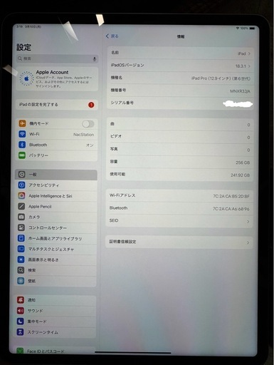 iPad Pro 12.9インチ 第6世代 256GB Wi-Fi
