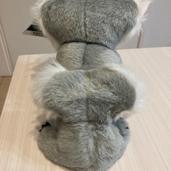 コアラの親子の画像