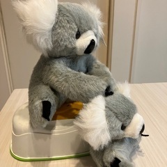 コアラの親子の画像