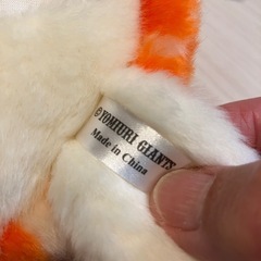 カメ太郎の画像