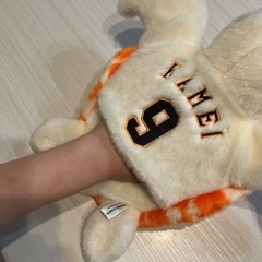 カメ太郎の画像