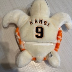 カメ太郎の画像