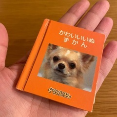 ぐりこえほん32冊の画像