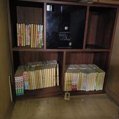 昭和の少女漫画　100冊くらい