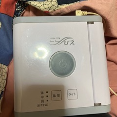 ここひえの画像