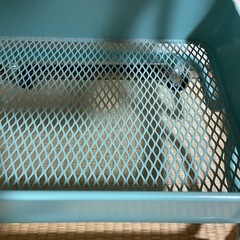 キッチンワゴン ベビーワゴン 収納カート バスケットラック 整理棚 キャスター付き ３段 スチール製 頑丈 全体耐重45KG 幅43ｘ奥行33.5x高さ86cm 合金鋼 の画像