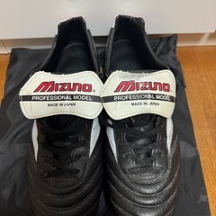 モレリアJapanの画像