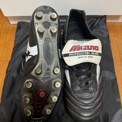 モレリアJapanの画像