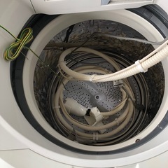 SHARP 縦型　洗濯乾燥機 ES-TX80F-W 8.0kgの画像